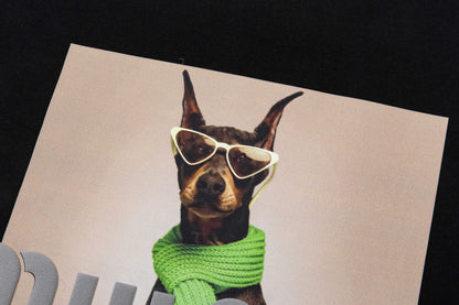 250305 New high quality printed dog T-shirt